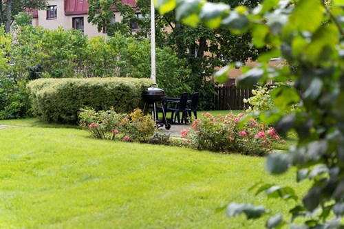 Den lugna och lummiga innergården!