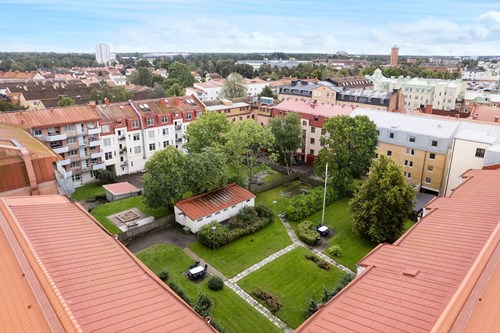 Föreningens skyddade och lummiga innergård.